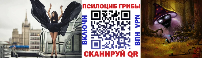 Галлюциногенные грибы Cubensis Яхрома
