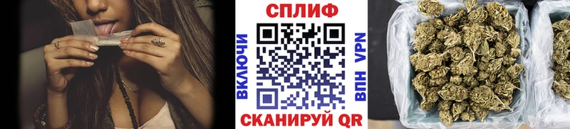 Каннабис ГИДРОПОН  Яхрома 